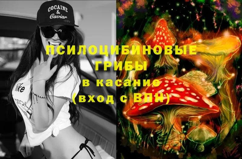 Псилоцибиновые грибы GOLDEN TEACHER  Зеленогорск 