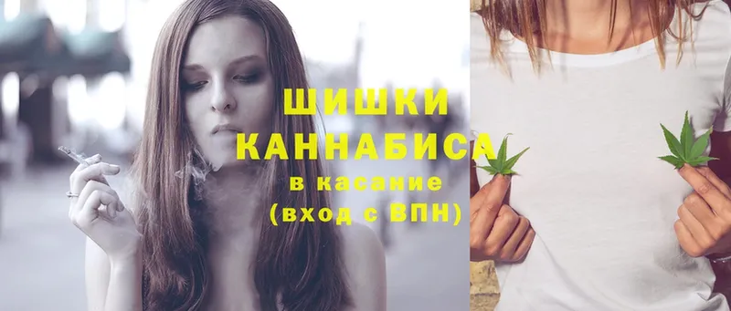 купить  сайты  Зеленогорск  Бошки марихуана OG Kush 